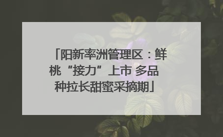 阳新率洲管理区：鲜桃“接力”上市 多品种拉长甜蜜采摘期
