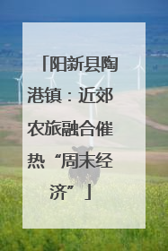 阳新县陶港镇：近郊农旅融合催热“周末经济”