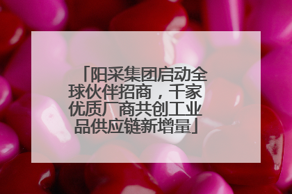 阳采集团启动全球伙伴招商，千家优质厂商共创工业品供应链新增量