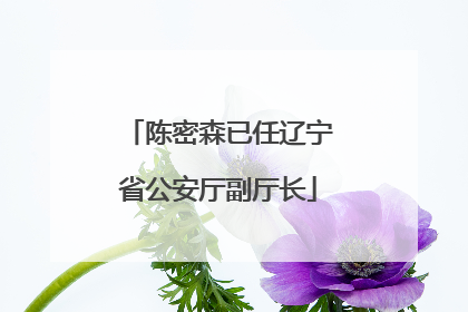陈密森已任辽宁省公安厅副厅长