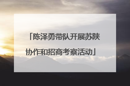 陈泽勇带队开展苏陕协作和招商考察活动