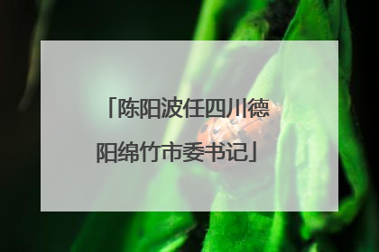 陈阳波任四川德阳绵竹市委书记