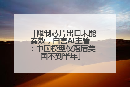 限制芯片出口未能奏效，白宫AI主管：中国模型仅落后美国不到半年