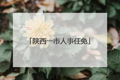 陕西一市人事任免