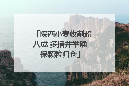 陕西小麦收割超八成 多措并举确保颗粒归仓