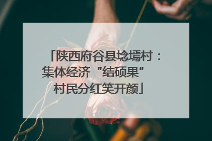 陕西府谷县埝墕村：集体经济“结硕果” 村民分红笑开颜