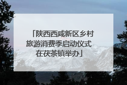 陕西西咸新区乡村旅游消费季启动仪式在茯茶镇举办