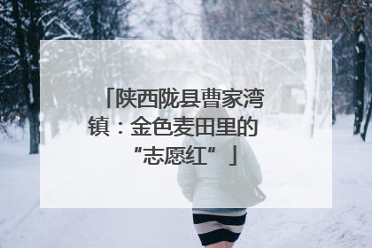 陕西陇县曹家湾镇：金色麦田里的“志愿红”