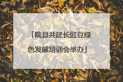 院县共建长豇豆绿色发展培训会举办
