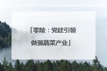 零陵：党建引领 做强蔬菜产业