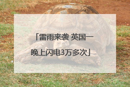 雷雨来袭 英国一晚上闪电3万多次