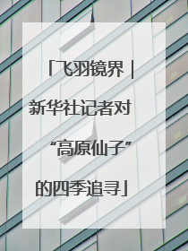 飞羽镜界｜新华社记者对“高原仙子”的四季追寻