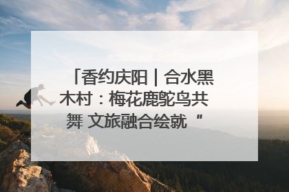 香约庆阳｜合水黑木村：梅花鹿鸵鸟共舞 文旅融合绘就“诗与远方”