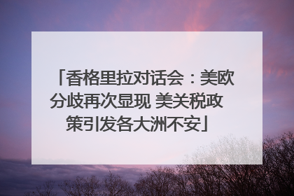 香格里拉对话会：美欧分歧再次显现 美关税政策引发各大洲不安