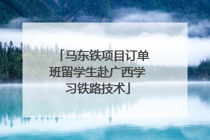 马东铁项目订单班留学生赴广西学习铁路技术