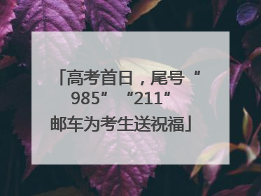 高考首日，尾号“985”“211”邮车为考生送祝福