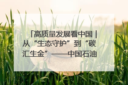 高质量发展看中国｜从“生态守护”到“碳汇生金”——中国石油大庆油田绿色蝶变