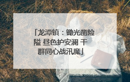 龙潭镇：锄光凿险隘 昼色护安澜 干群同心战汛魔