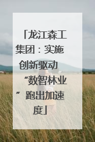 龙江森工集团：实施创新驱动 “数智林业”跑出加速度