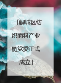 鲤城区纺织面料产业链党委正式成立