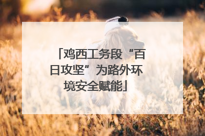 鸡西工务段“百日攻坚”为路外环境安全赋能