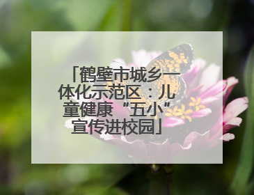 鹤壁市城乡一体化示范区：儿童健康“五小”宣传进校园
