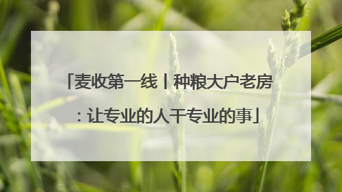 麦收第一线丨种粮大户老房：让专业的人干专业的事