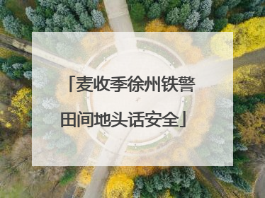 麦收季徐州铁警田间地头话安全