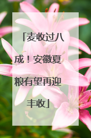 麦收过八成！安徽夏粮有望再迎丰收