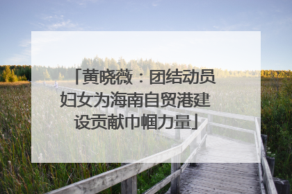 黄晓薇：团结动员妇女为海南自贸港建设贡献巾帼力量