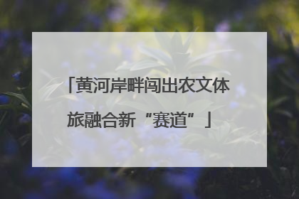 黄河岸畔闯出农文体旅融合新“赛道”