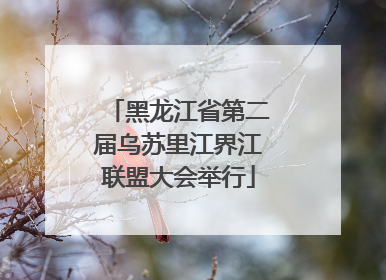 黑龙江省第二届乌苏里江界江联盟大会举行