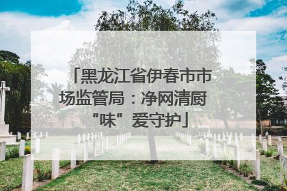 黑龙江省伊春市市场监管局：净网清厨 “味”爱守护