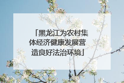 黑龙江为农村集体经济健康发展营造良好法治环境