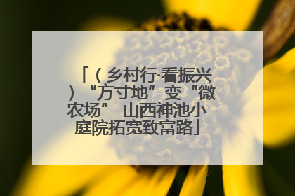 （乡村行·看振兴）“方寸地”变“微农场” 山西神池小庭院拓宽致富路