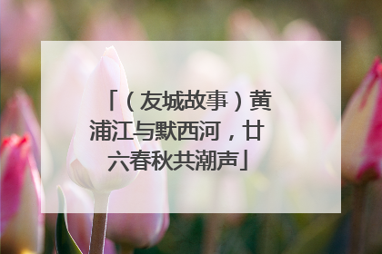 （友城故事）黄浦江与默西河，廿六春秋共潮声