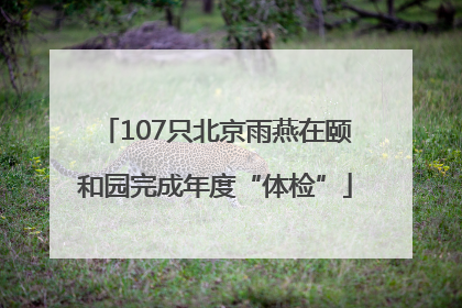 107只北京雨燕在颐和园完成年度“体检”