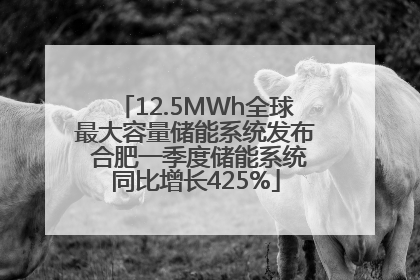 12.5MWh全球最大容量储能系统发布 合肥一季度储能系统同比增长425%