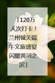 120万人次打卡！兰州城关端午文旅盛宴闪耀黄河之滨