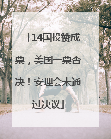 14国投赞成票，美国一票否决！安理会未通过决议