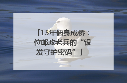 15年俯身成桥：一位邮政老兵的“银发守护密码”