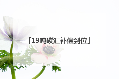 19吨碳汇补偿到位