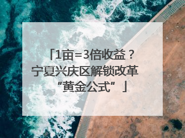 1亩=3倍收益？宁夏兴庆区解锁改革“黄金公式”