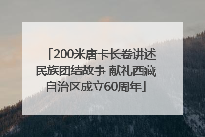 200米唐卡长卷讲述民族团结故事 献礼西藏自治区成立60周年