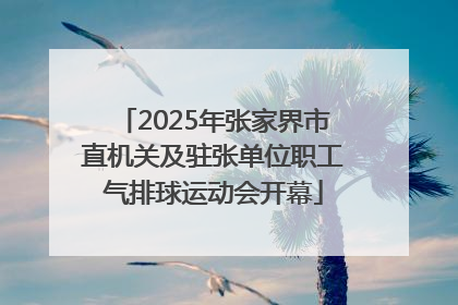 2025年张家界市直机关及驻张单位职工气排球运动会开幕