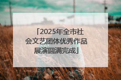2025年全市社会文艺团体优秀作品展演圆满完成