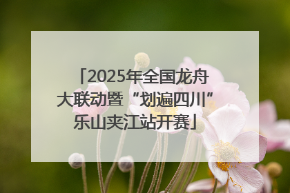 2025年全国龙舟大联动暨“划遍四川”乐山夹江站开赛