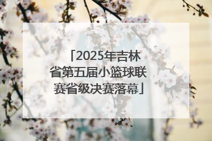 2025年吉林省第五届小篮球联赛省级决赛落幕