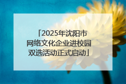 2025年沈阳市网络文化企业进校园双选活动正式启动