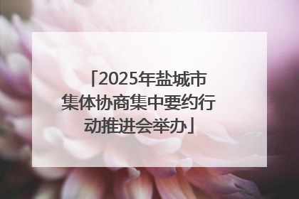 2025年盐城市集体协商集中要约行动推进会举办